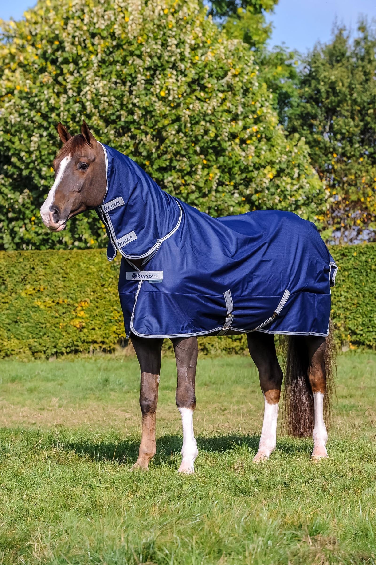 Bucas Freedom Pony Turnout Rug with fixed Full Neck (150g / 150g) Horse Rugs