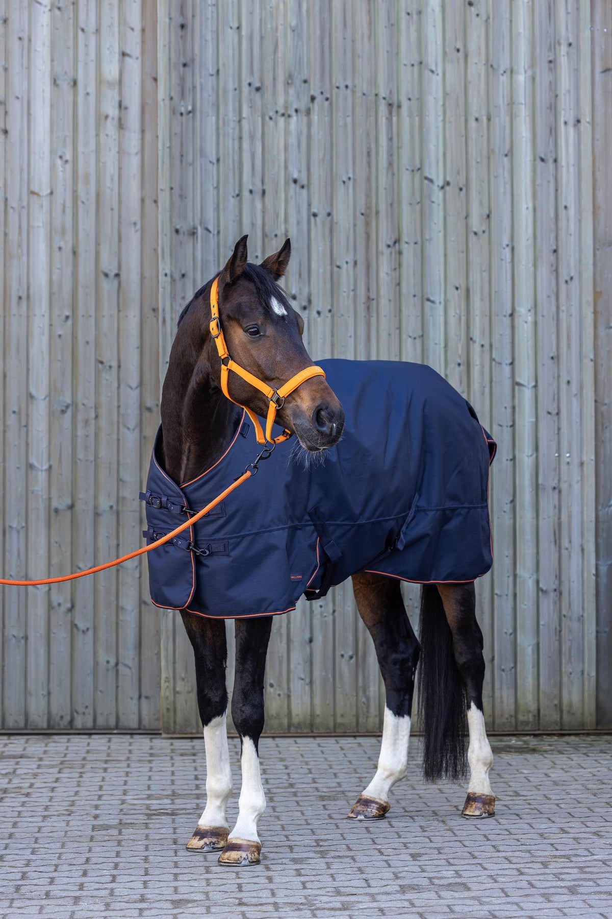 Covalliero FW26 Outdoor Horse Rug 50g Horse Rugs