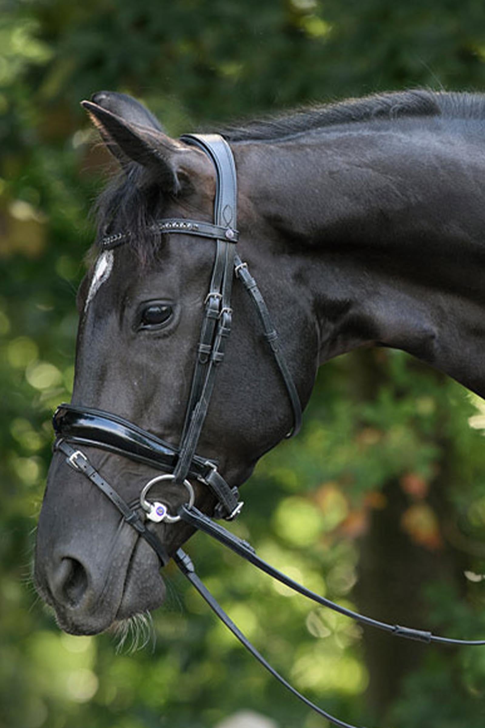 Trust Equestrian Rotterdam Large Patent Crank Bridle Bridles & Reins