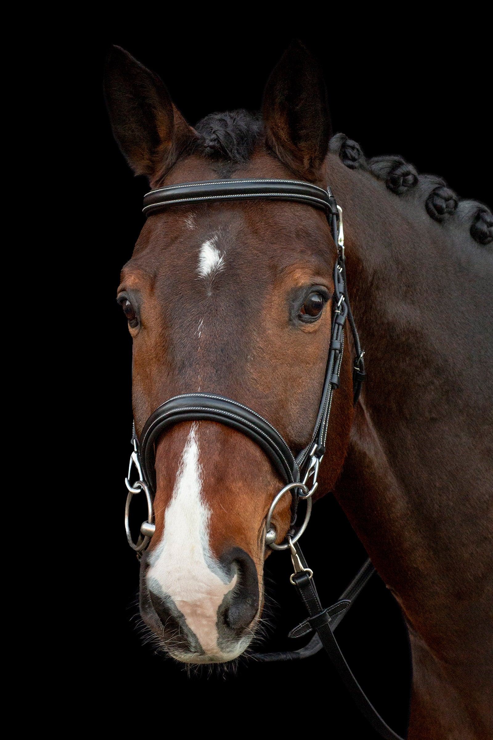 Schockemöhle Sports Dortmund Bridle Bridles & Reins