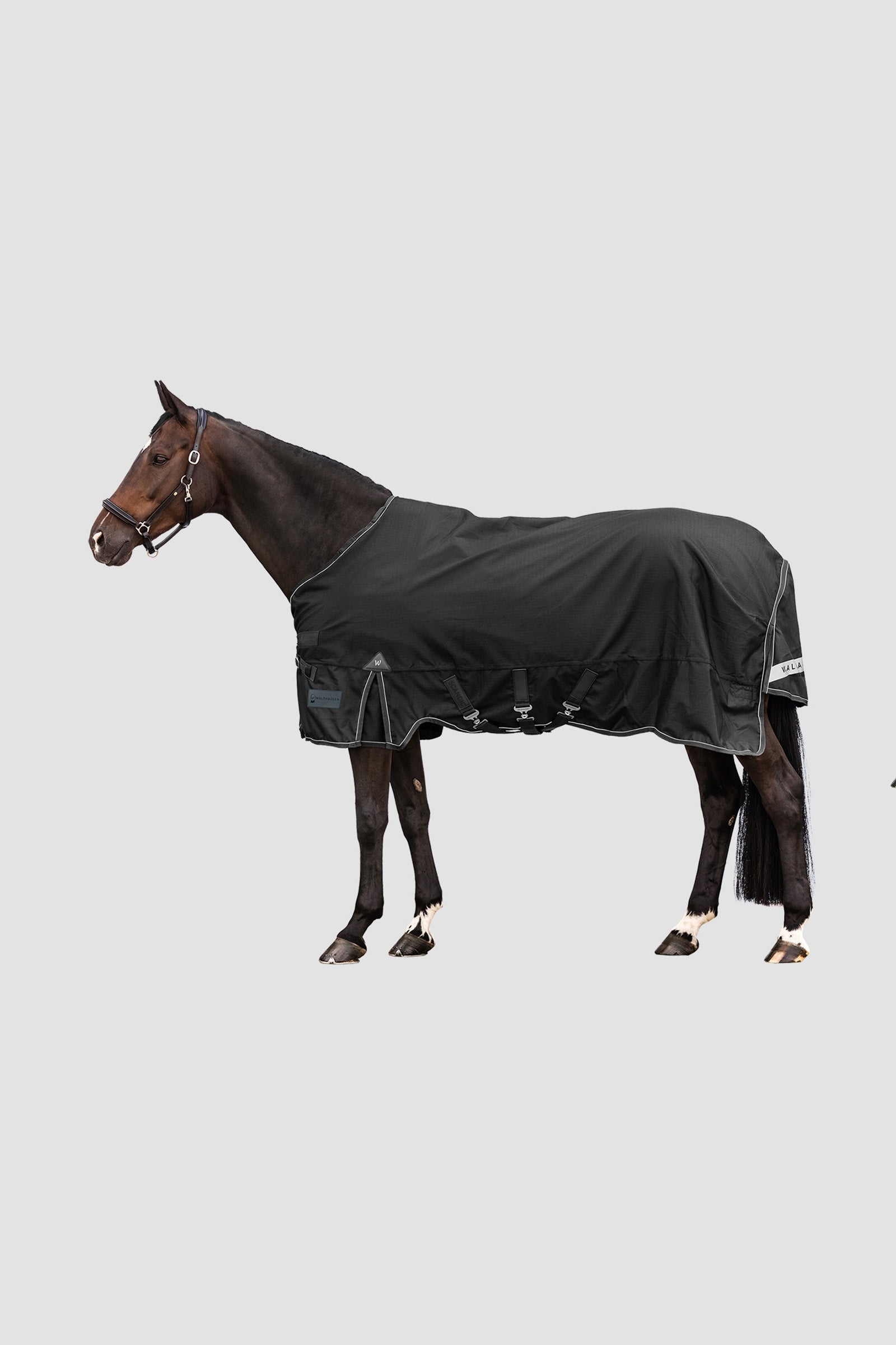Waldhausen Outdoor Rug Scandic Multi-Layer 250 g/100 g Derki
