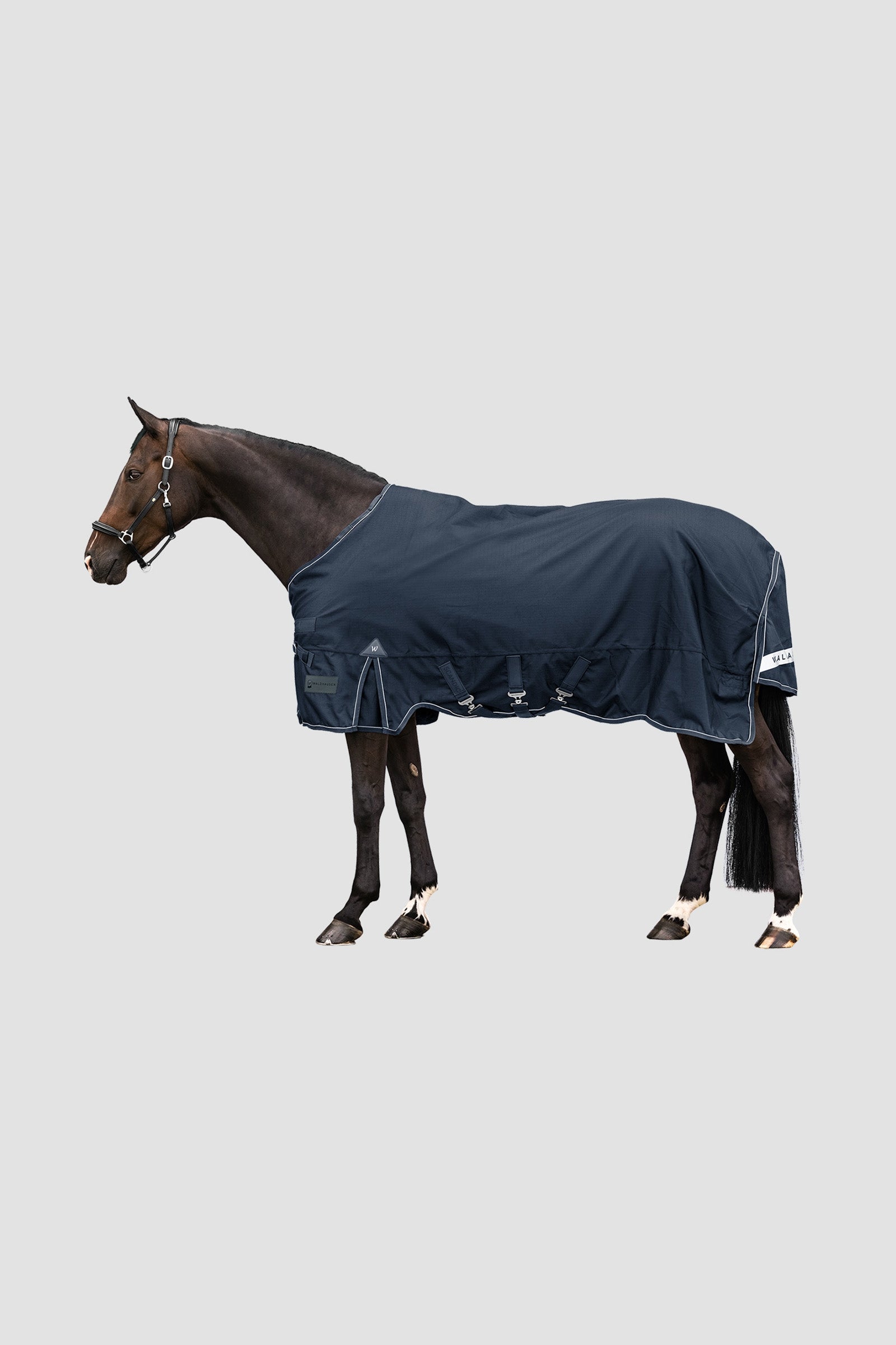 Waldhausen Outdoor Rug Scandic Multi-Layer 250 g/100 g Horse Rugs