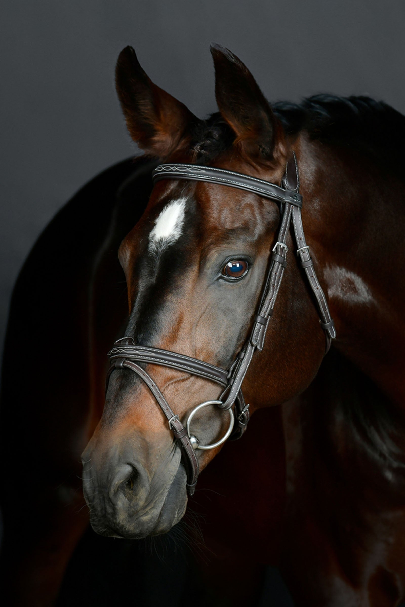 Collegiate Comfitec Opulux Fancy Stitch wyściełany nachrapnik hanowerski Ogłowia i wodze