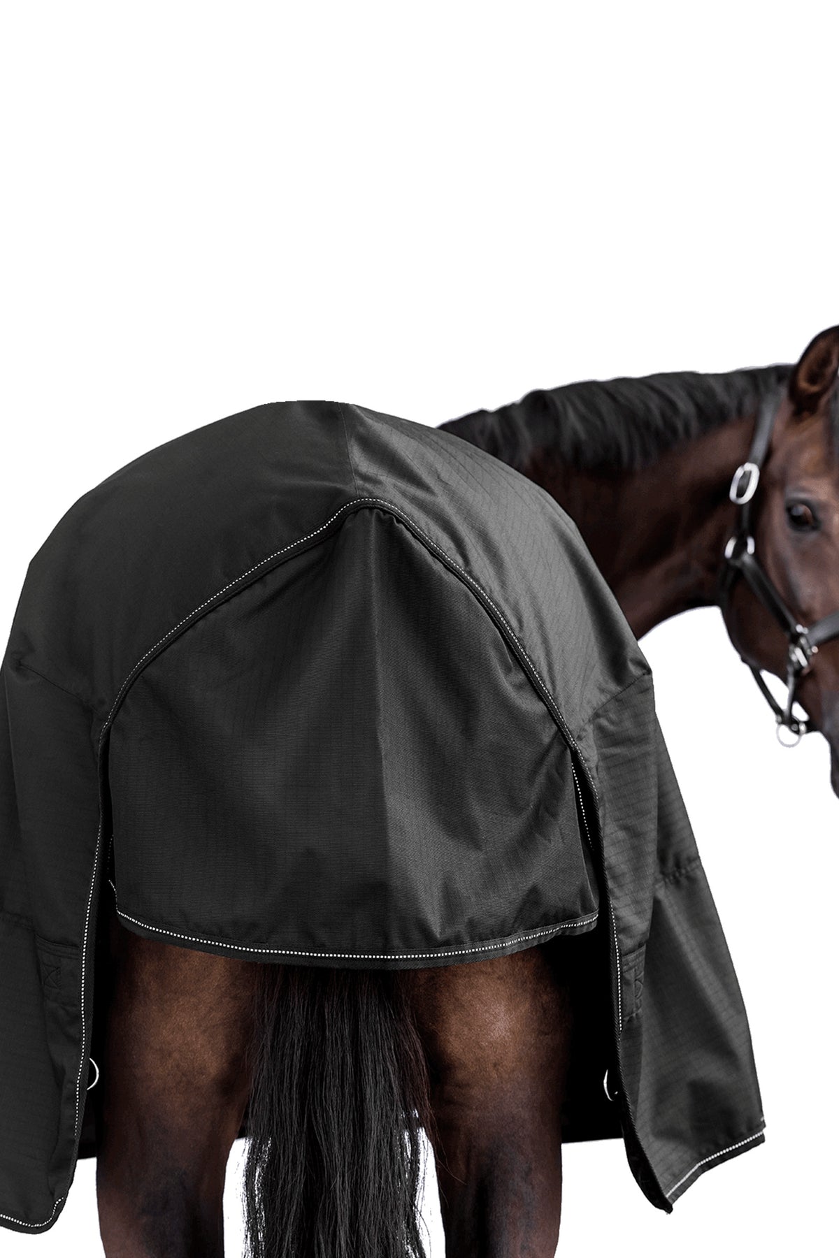 Waldhausen NORDIC Outdoor Rug with Fleece Horse Rugs