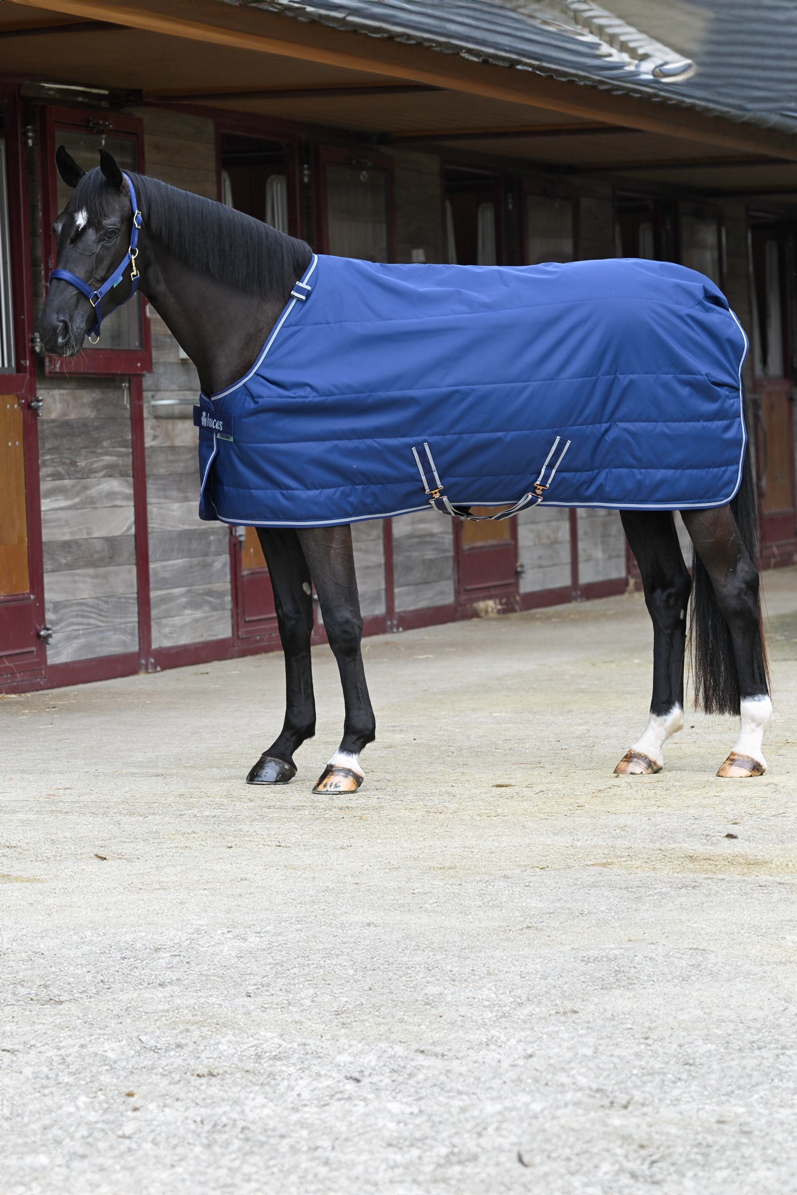 Bucas Quilt Stay-dry, 150g Horse Rugs