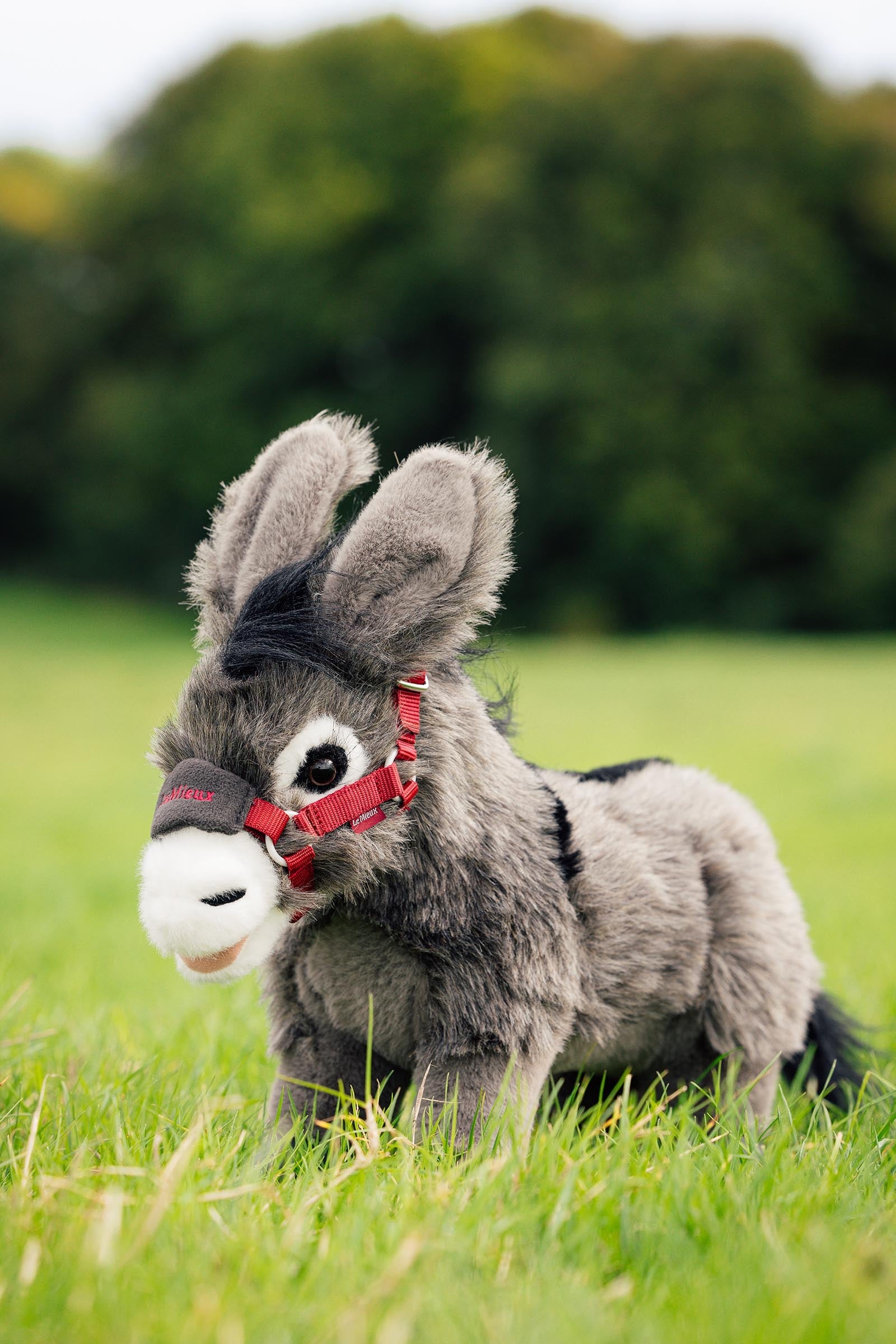 LeMieux Toy Donkey Daphne Gifts & Toys