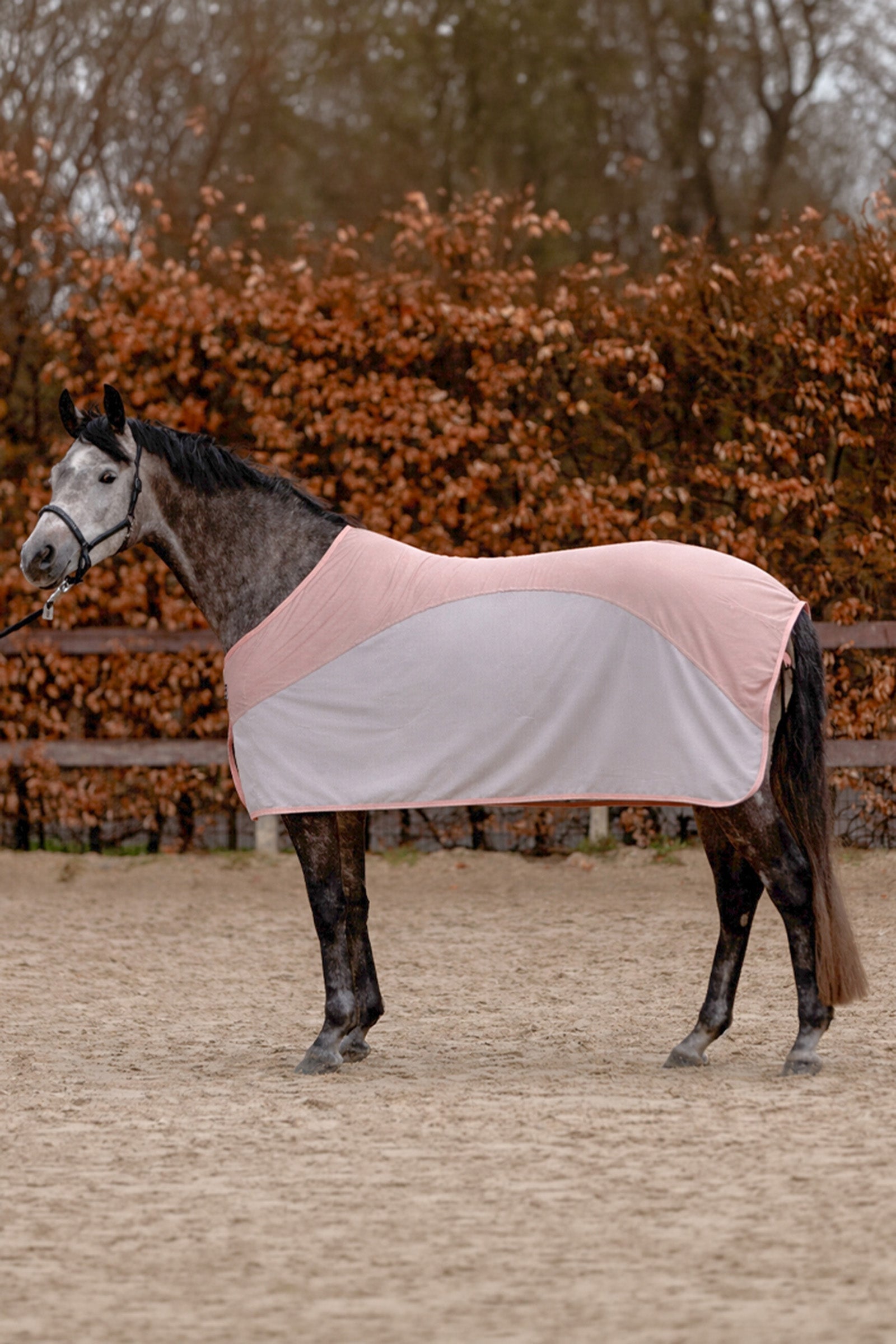 Kavalkade Aeris Fly Rug Horse Rugs