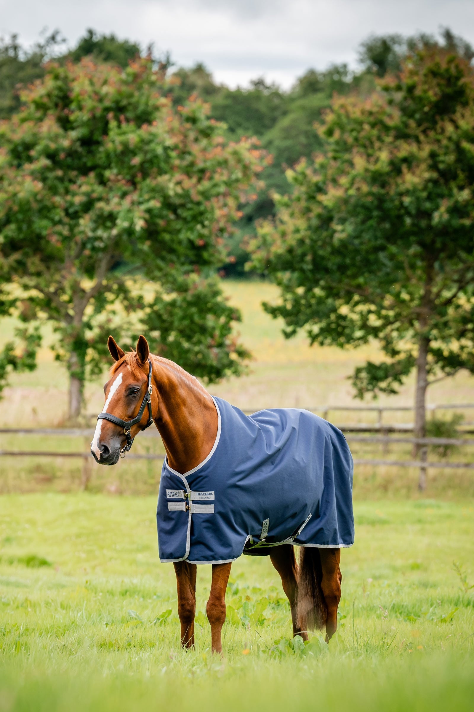 Horseware Amigo Ripstop 900D Turnout 0g Horse Rugs