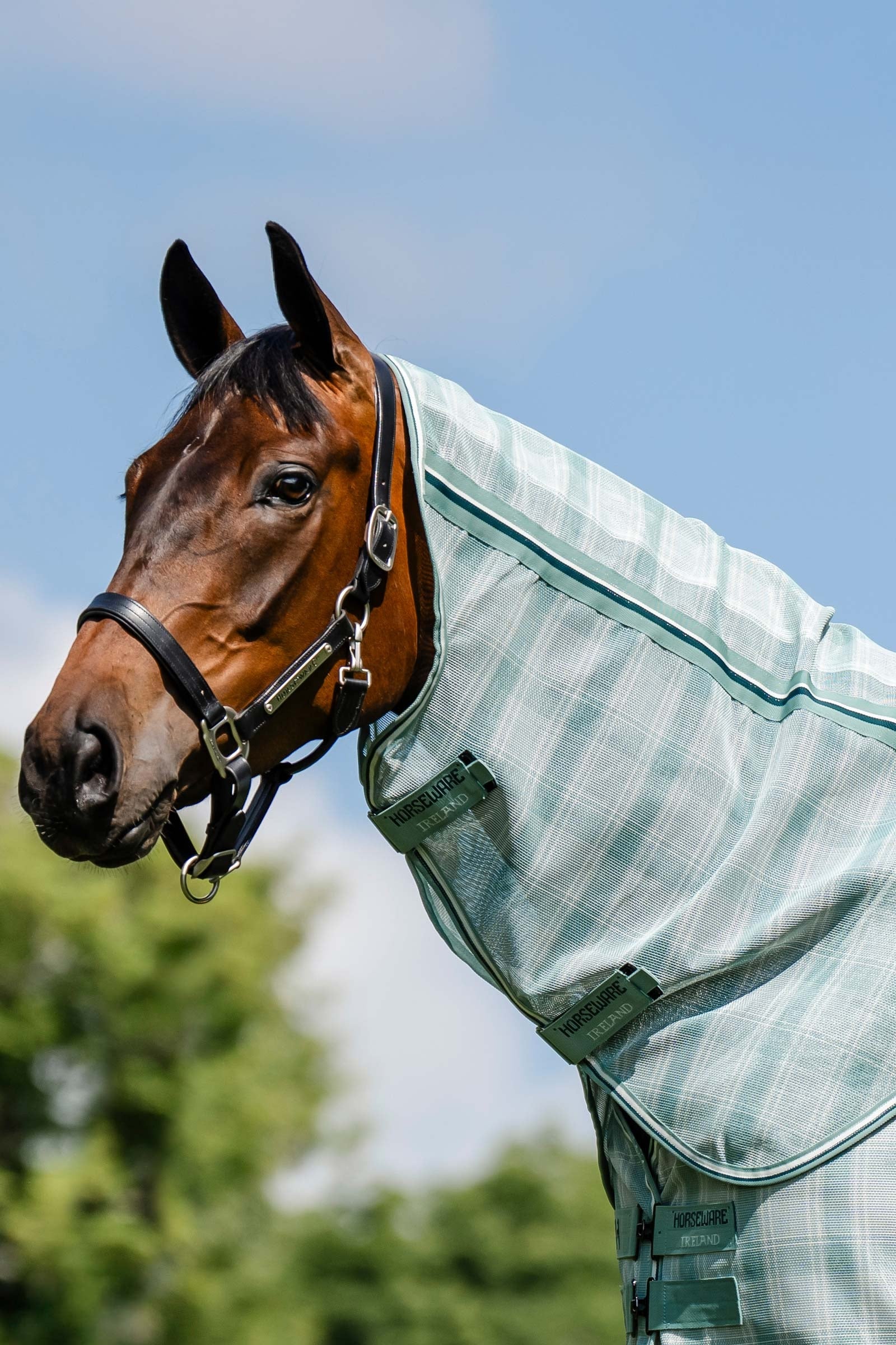 Horseware Newmarket kaptur do derki przeciw owadom z ochroną UV Derki