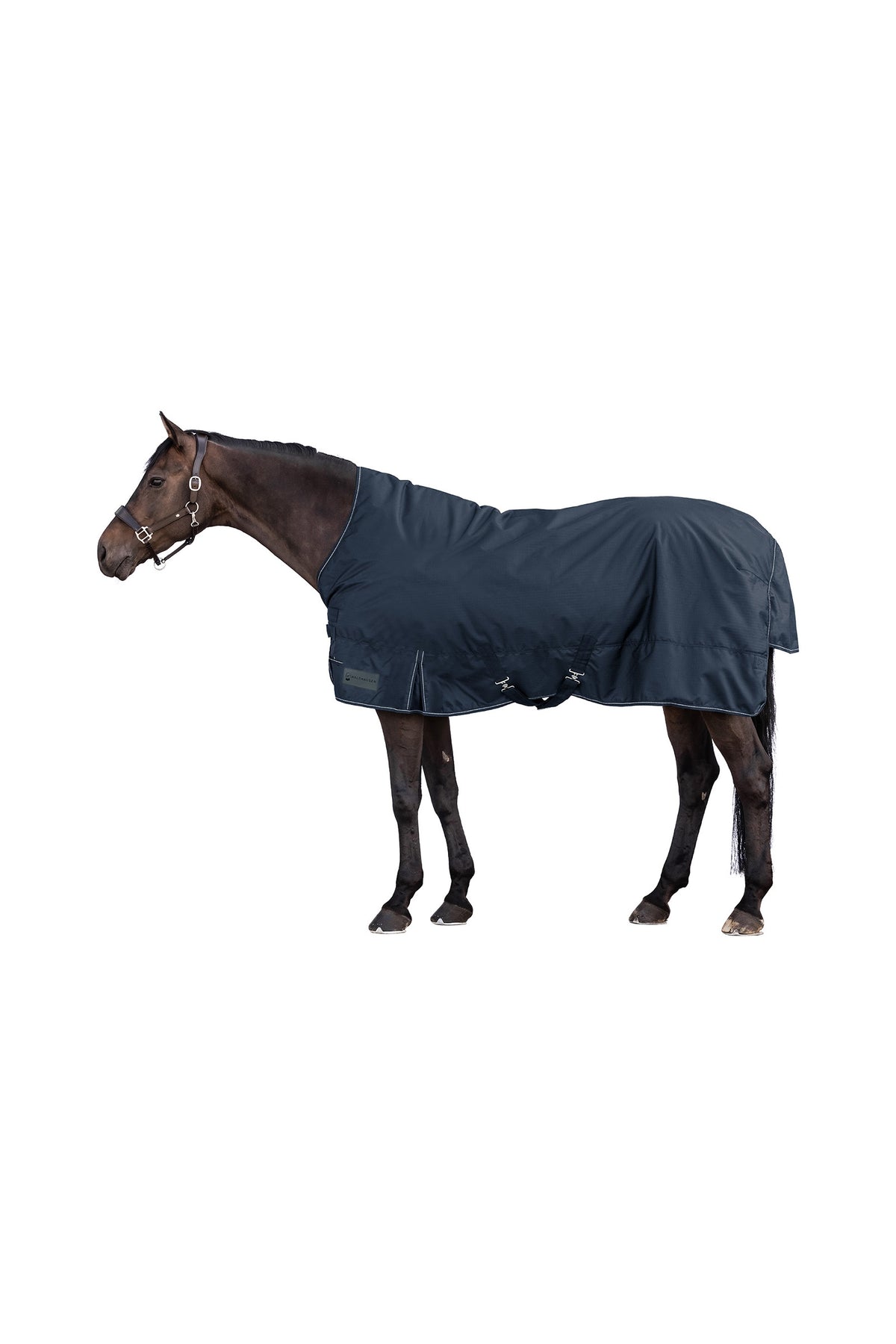 Waldhausen NORDIC 600D High Neck Outdoor Rug, 100 g Horse Rugs