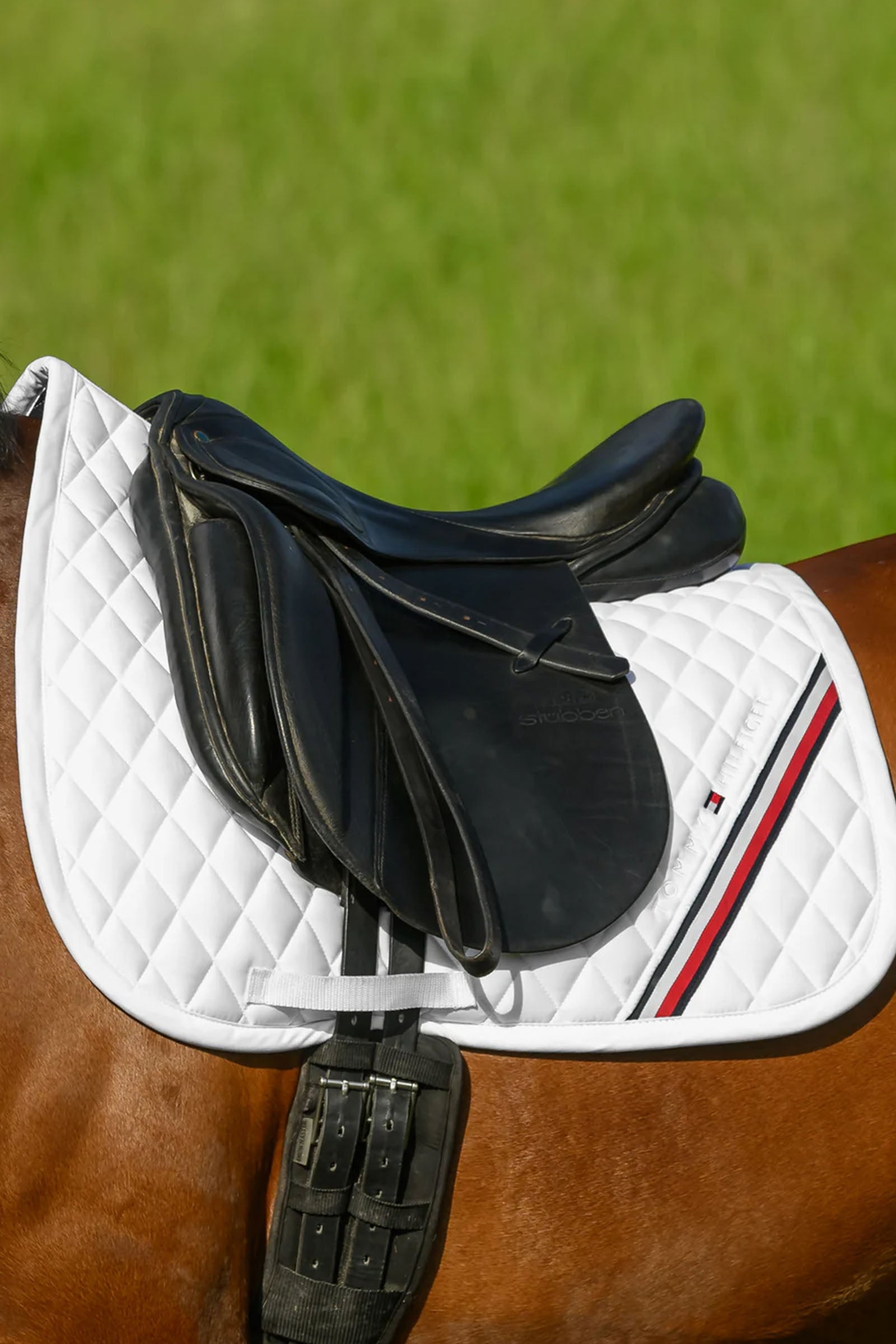 Tommy Hilfiger Equestrian Stanford Dressage Saddlepad Saddle Pads
