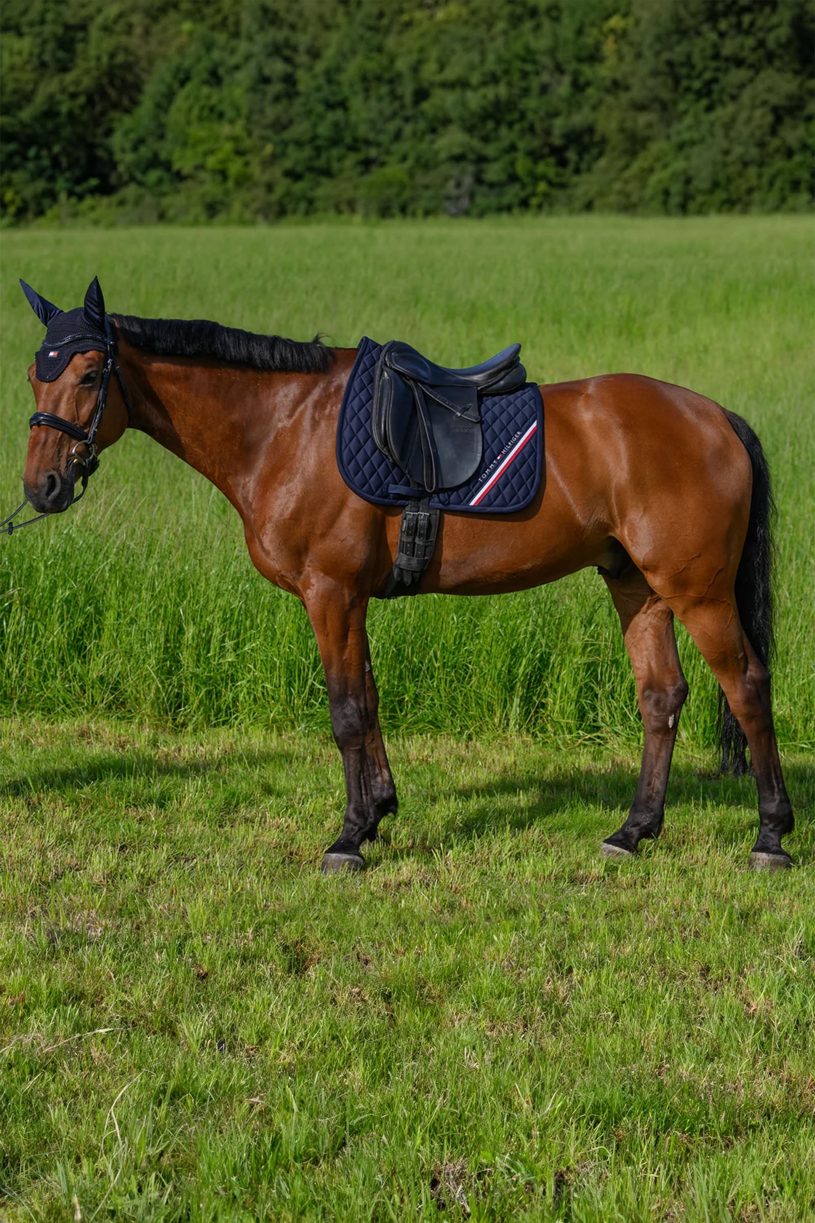 Tommy Hilfiger Equestrian Stanford Dressage Saddlepad Saddle Pads