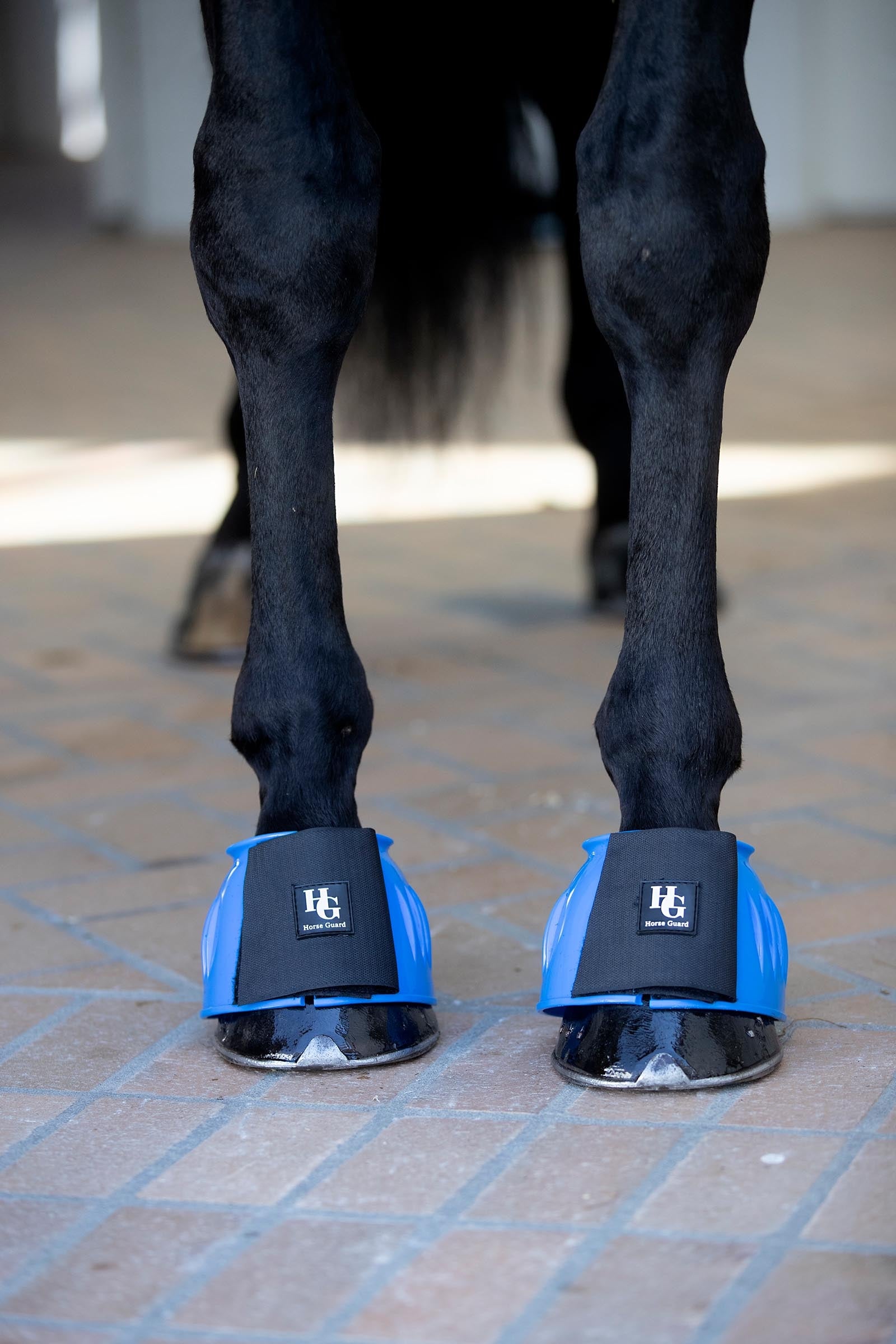 Horse Guard HorseGuard Tamsin Bell Boots Leg Protection & Hoof Protection for Horses