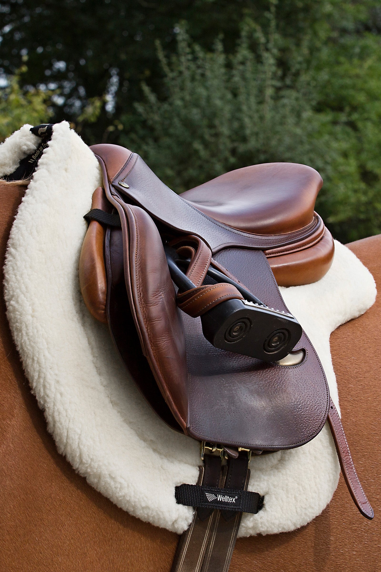 Back on Track Back On Track "Teddy" Saddle Pad Saddle Pads