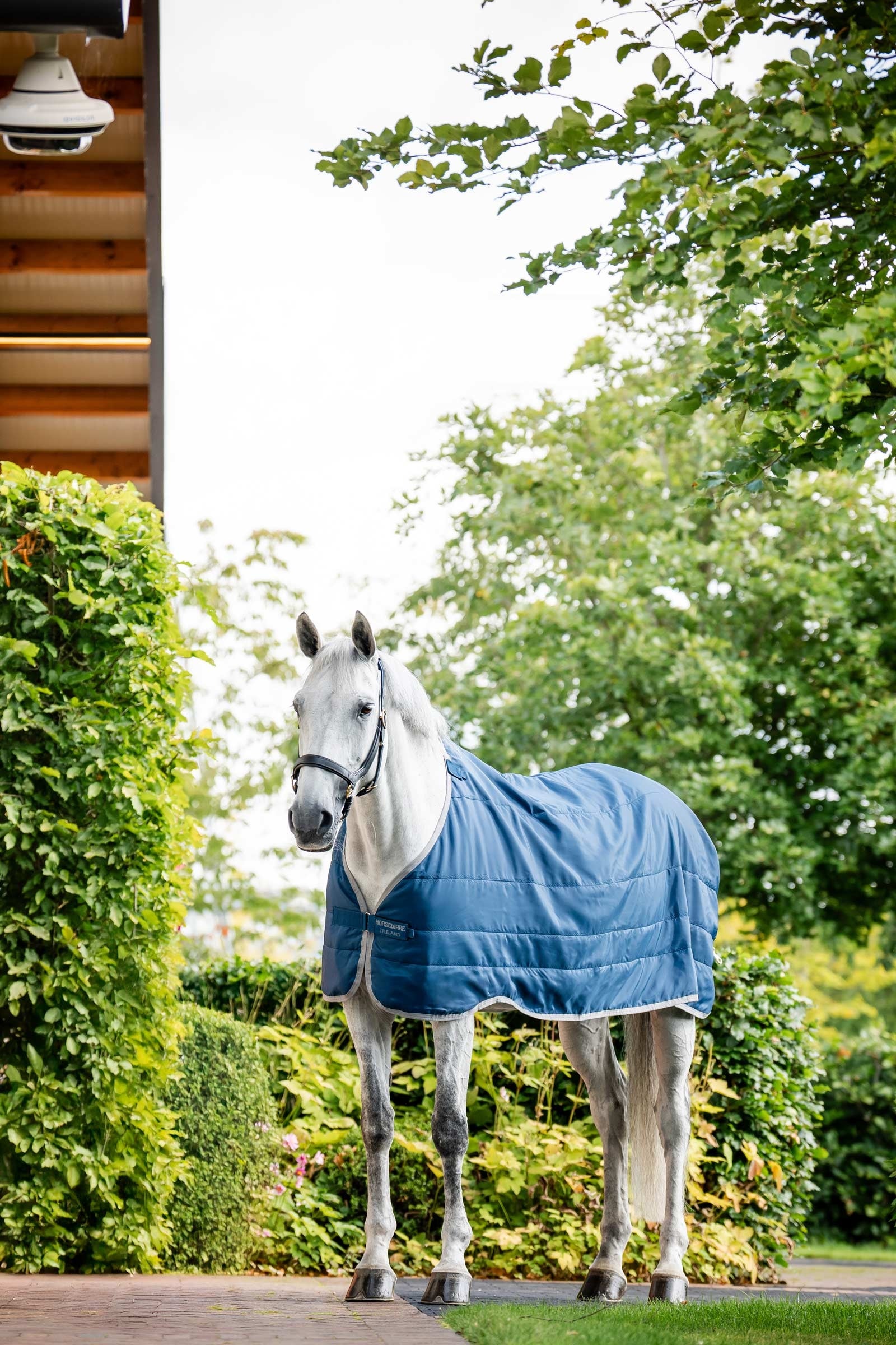 Horseware Ionic Therapy Liner 50g Horse Rugs