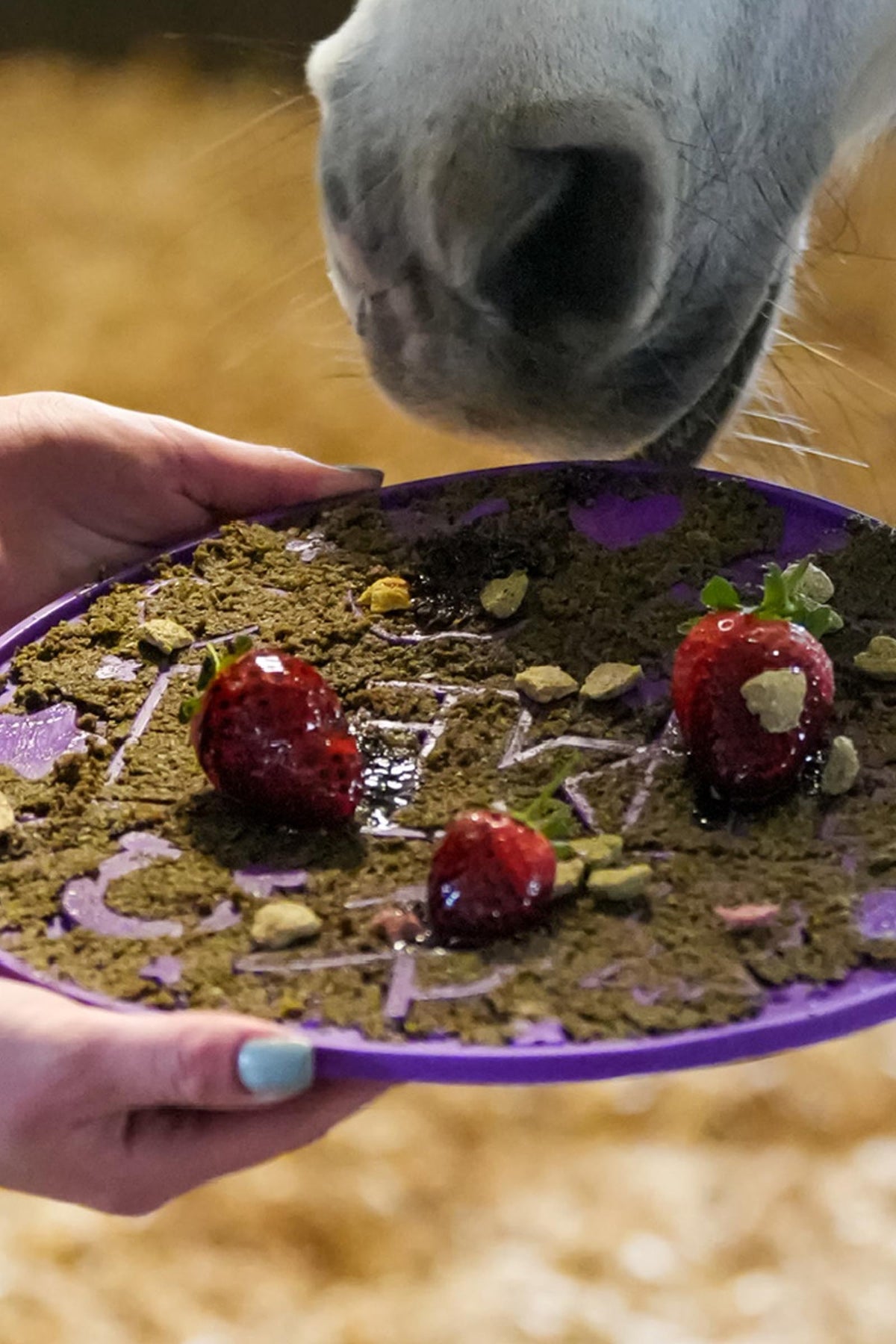 Likit Graze Maze Lick Mat Horse Feed & Nutrition