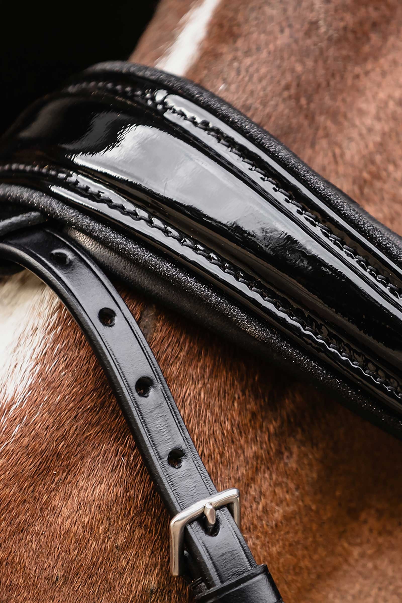 Schockemöhle Sports Satchmo Bridle - Isabell Werth Collection Bridles & Reins