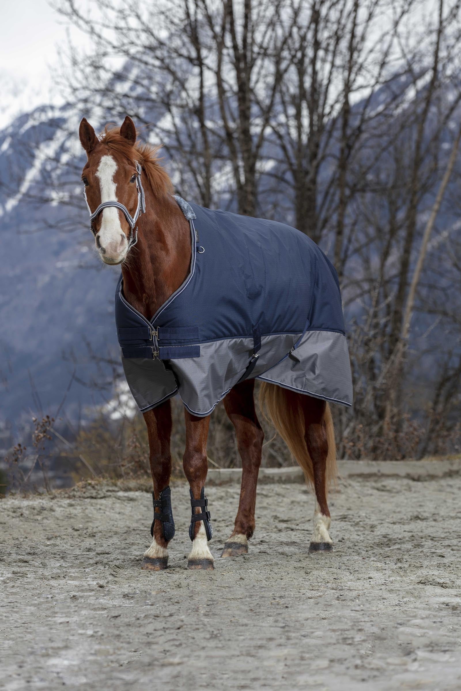 Equi Theme EQUITHÈME TYREX 600D Turnout Rug, 50 g Horse Rugs