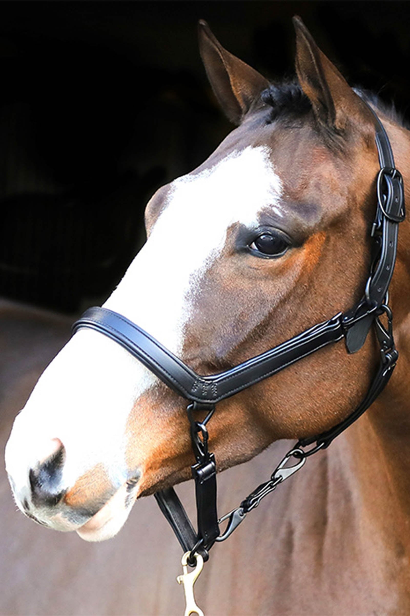 Liveryman Leather Clipping Headcollar Horse Clipping & Trimming Tools