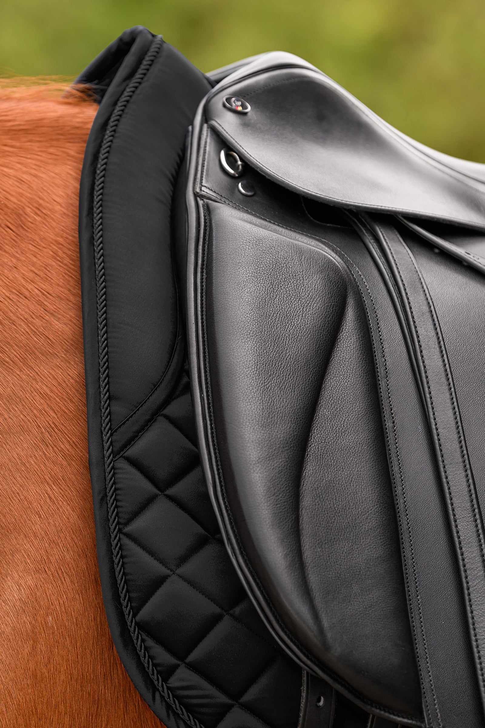 Waldhausen Nepal Dresssage Saddle Pad Saddle Pads