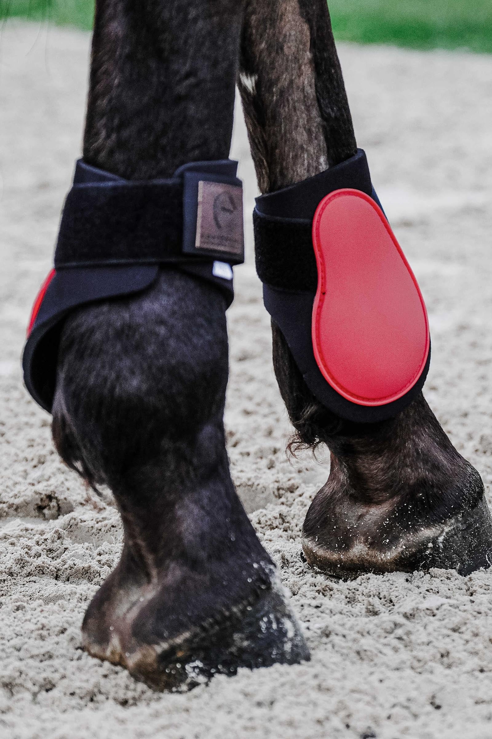 Equi Theme EQUITHÈME Tara Fetlock Boots Leg & Hoof Protection
