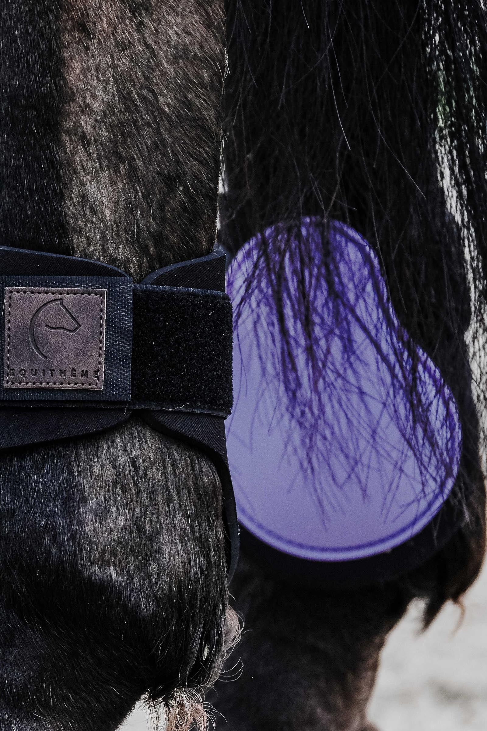 Equi Theme EQUITHÈME Tara Fetlock Boots Leg & Hoof Protection
