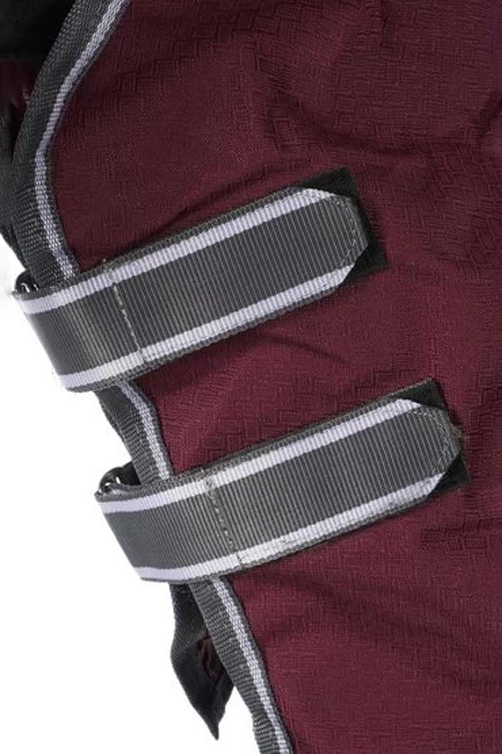 Weatherbeeta Comfitec Plus Dynamic II Turnout Rug With Fixed Neck, 100g Horse Rugs