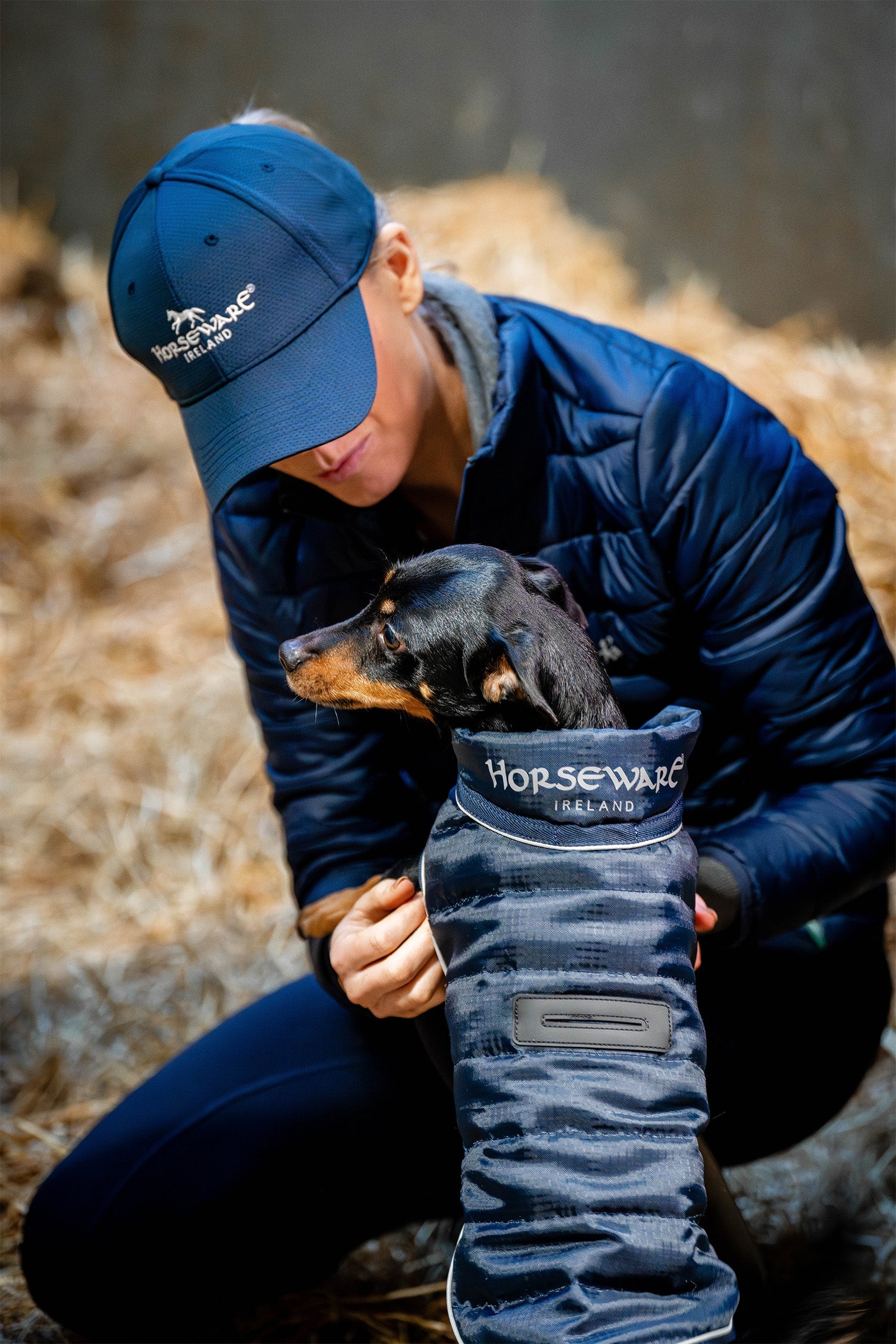 Horseware Signature Dog Rug Dog Accesories