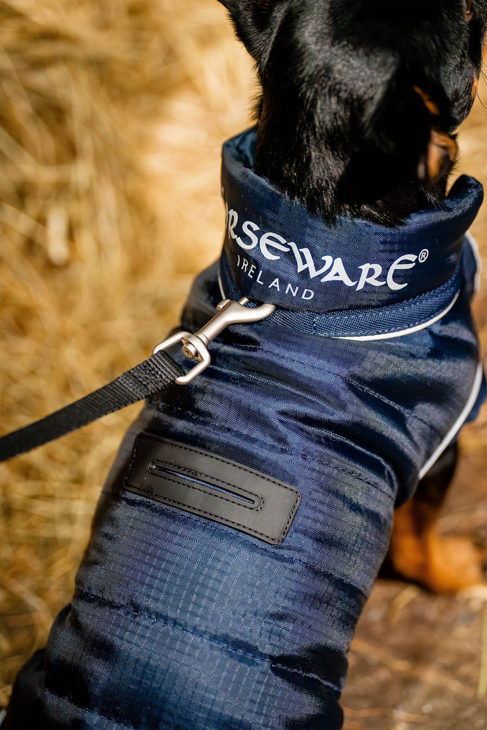 Horseware Signature Dog Rug Dog Accesories