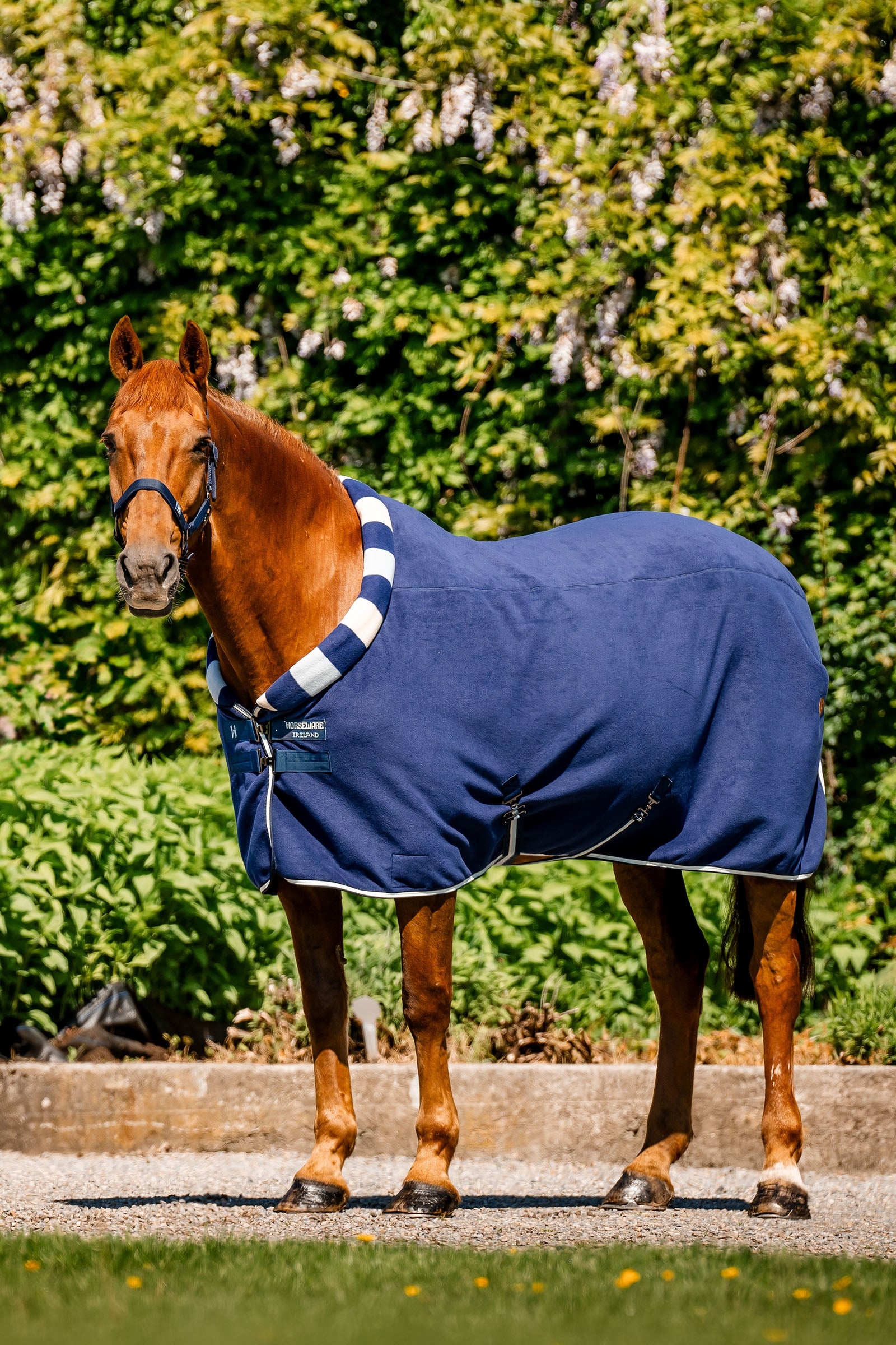 Horseware Newmarket Cosy Fleece Derka osuszająca Derki